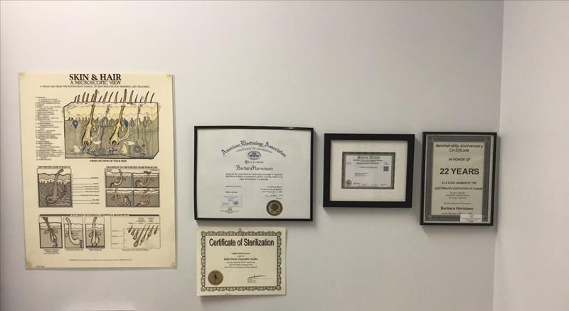 Barbara Harmison's professional certifications, including American Electrology Association membership